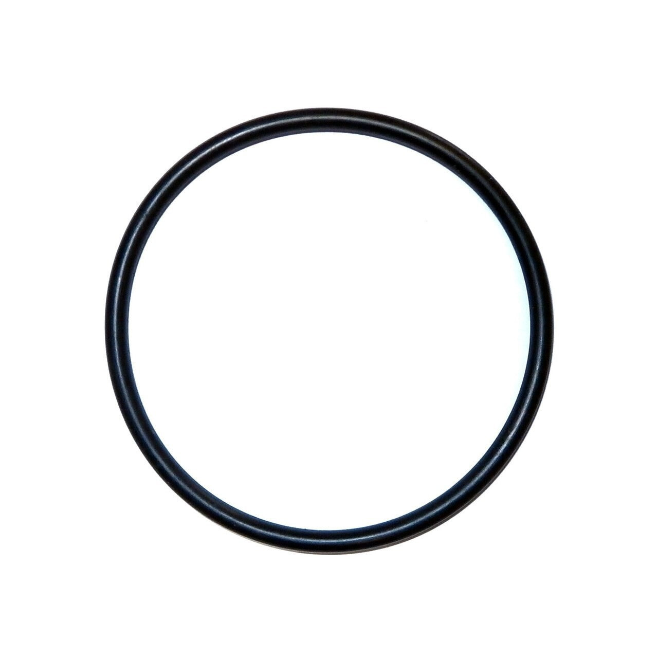 2" PUMP UNION O RING - 2 PACK