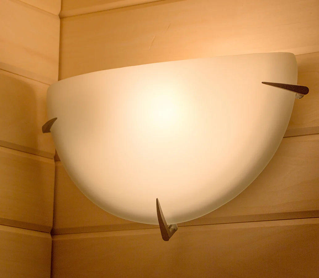 Sconce Light Fixture